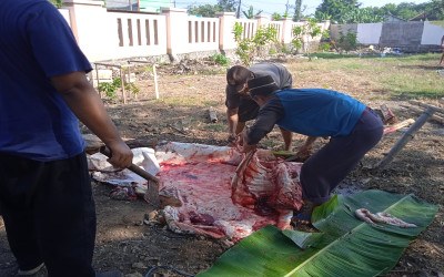 PELAKSANAAN QURBAN DI SMAN PILANGKENCENG